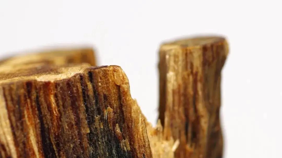 沉香|挑选沉香的几点忠告