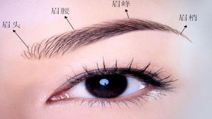 蔬菜 如果纹眉画眉，什么样的眉型好