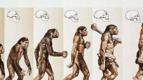 人类还在进化吗？别着急下定论，你的身体正在告诉你答案