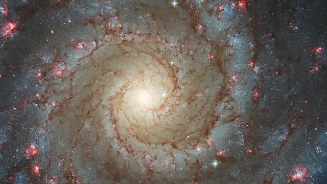哈勃望远镜：新照片揭示了幻影星系中的新恒星的形成