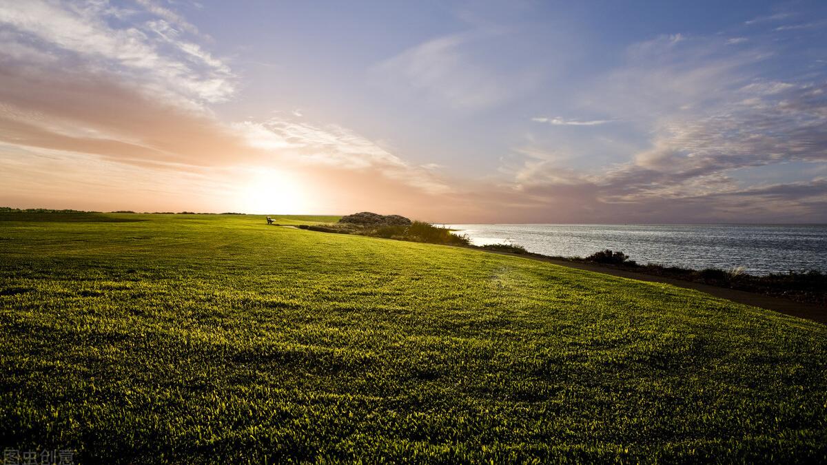 拼多多|直播是未来互联网创业者必备的素质之一？