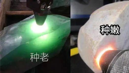 翡翠|“种”和“水”哪个更重要？翡翠要挑“种好”还是“水好”的？