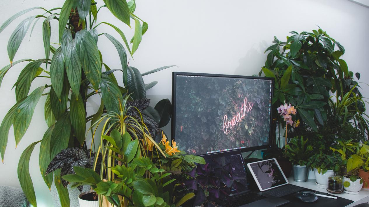 |领导把你当心腹的表现