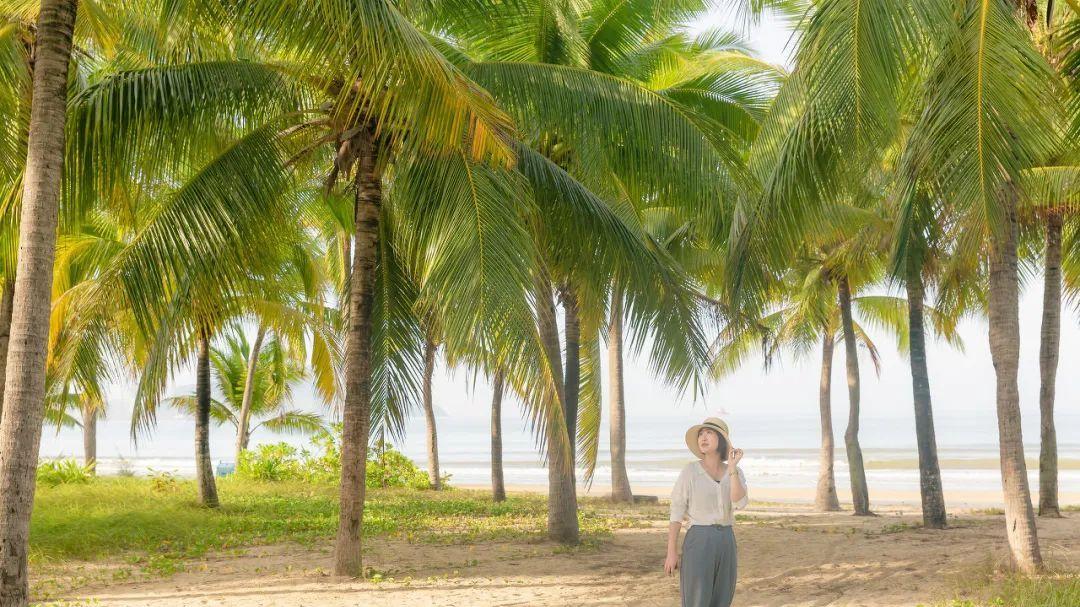 三亚|忽然，想去三亚了
