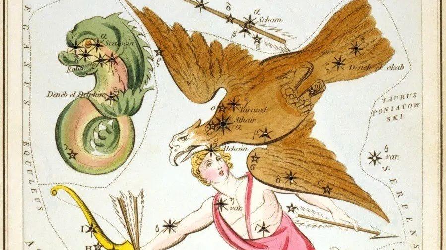 星见闻｜恒星故事之海豚座、猎户座