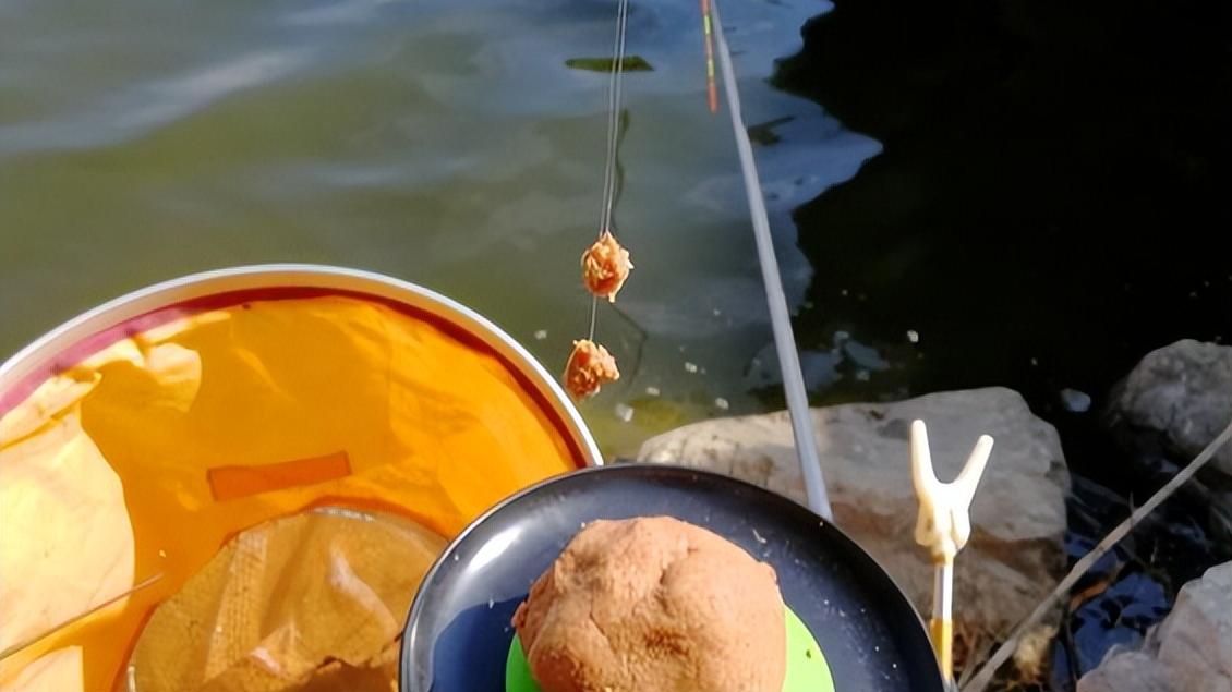 |5个钓鱼误区，最后一个我们经常犯