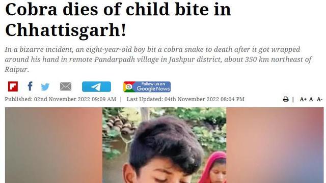 印度8岁男孩被眼镜蛇咬，他当场反咬回去，结果蛇死了
