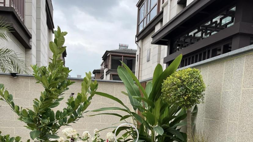 南向阳台，不要封死，养养花，种种菜，加强室内空气流通