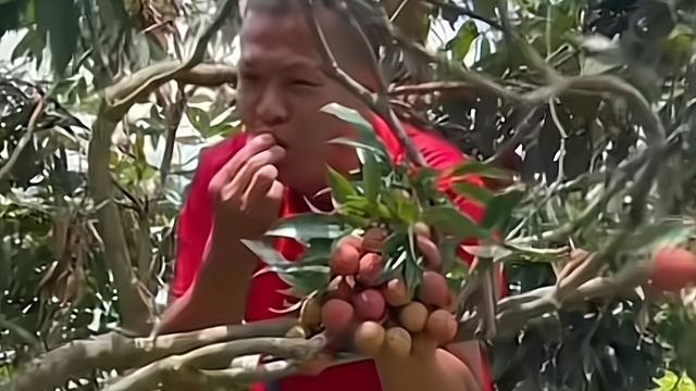 全红婵家富裕了！房子装修完成，妈妈翘二郎腿惬意，爸爸吃鸵鸟蛋