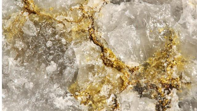爱吃黄金的生物被发现，科学家们有一个大胆的想法