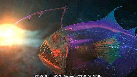 叶罗丽|叶罗丽第九季，垃圾冥神是收破烂老头，还缺一颗牙，宝石花园奢侈