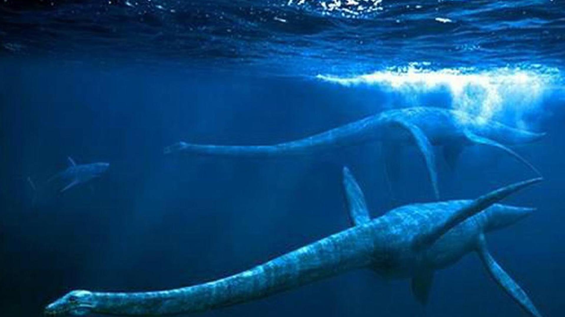 新疆喀纳斯湖再次出现水怪？科学家前往调查，浅水区确有巨大生物