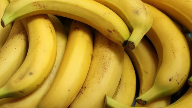 28年后，香蕉就会灭绝？地球上的香蕉其实都来自于“同一棵树”