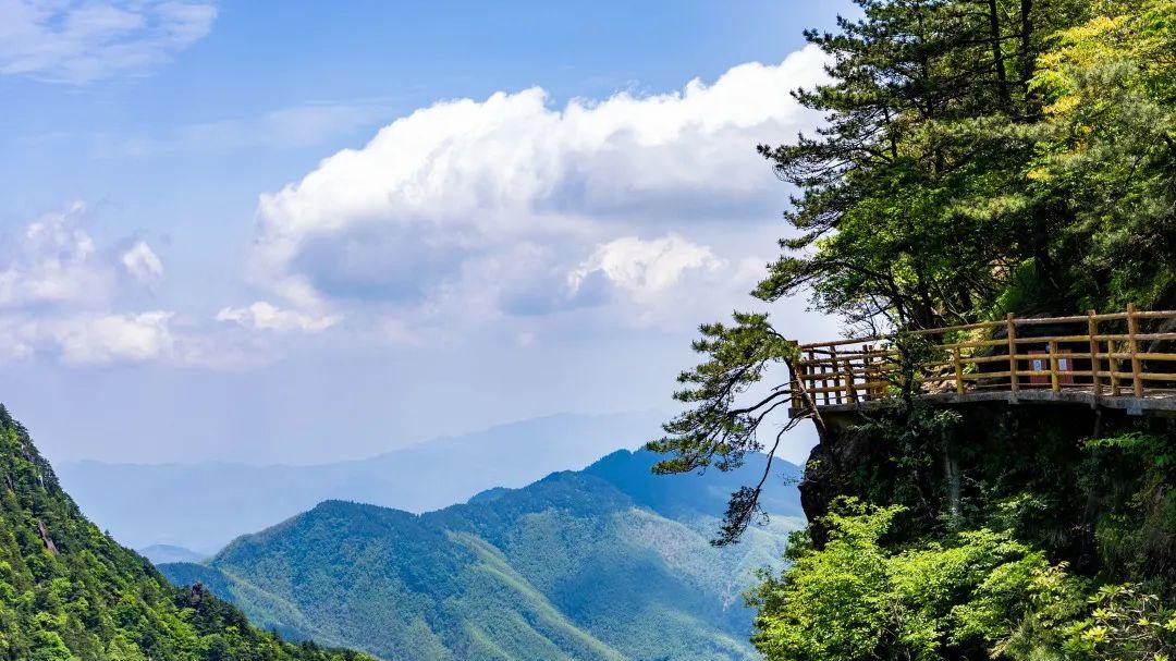 明月山|重磅！明月山面向全国人民免门票！