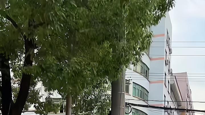 男子被家人催婚，看见路边卖西瓜女子便上前搭讪：买瓜送老板娘吗