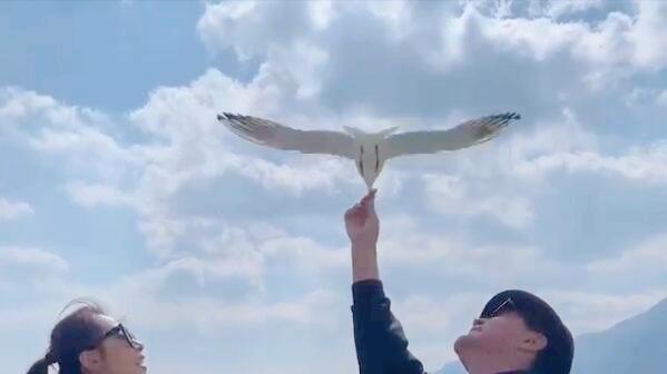 于荣光|65岁于荣光和美女一起喂海鸥，女方也是演员，两人曾多次合作