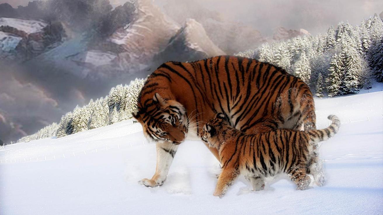 |对下属过分苛刻的上司，最好要远离这三种行为