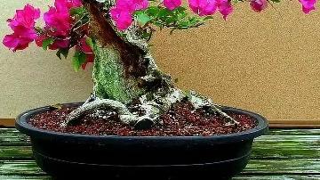 美团|有些人在今日头条上发文，根本就没钱，但还坚持，为什么？