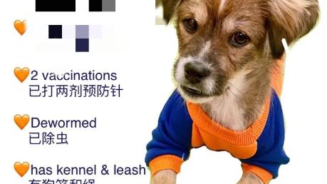 李立群|李立群表示:  在台北很寒心，儿子半年不见一次，妻子也找理由去儿子那里