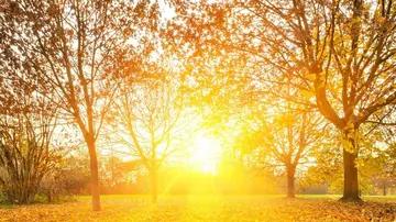 魔兽世界|做好“心有猛虎，细嗅蔷薇”的积极主动