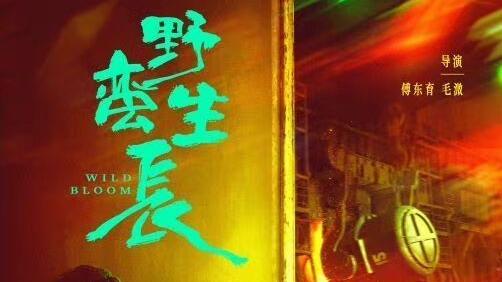 预告片|赵丽颖她带着她新主演的《野蛮生长》预告片出来了！