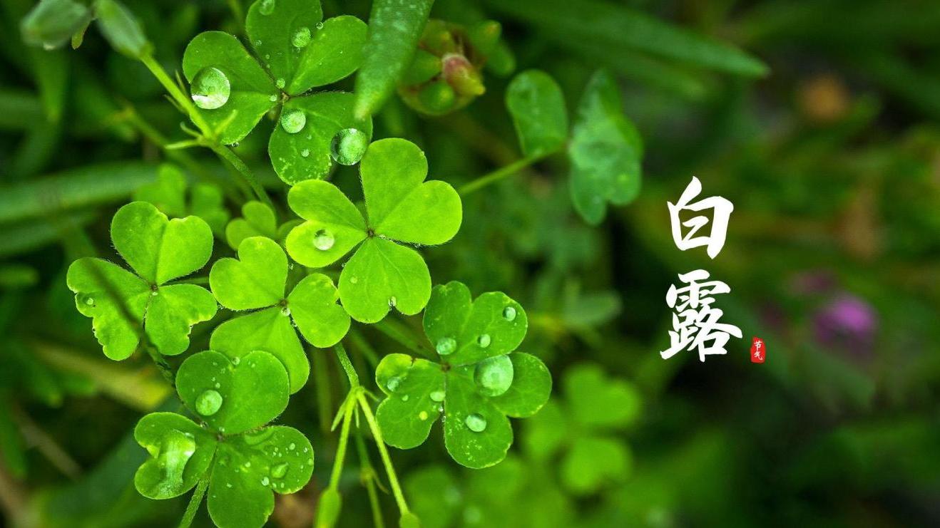 求职|“求职三部曲”让你轻松成功