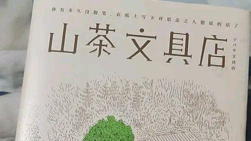 |迷茫的时候读《山茶文具店》，调整好职业心态再出发