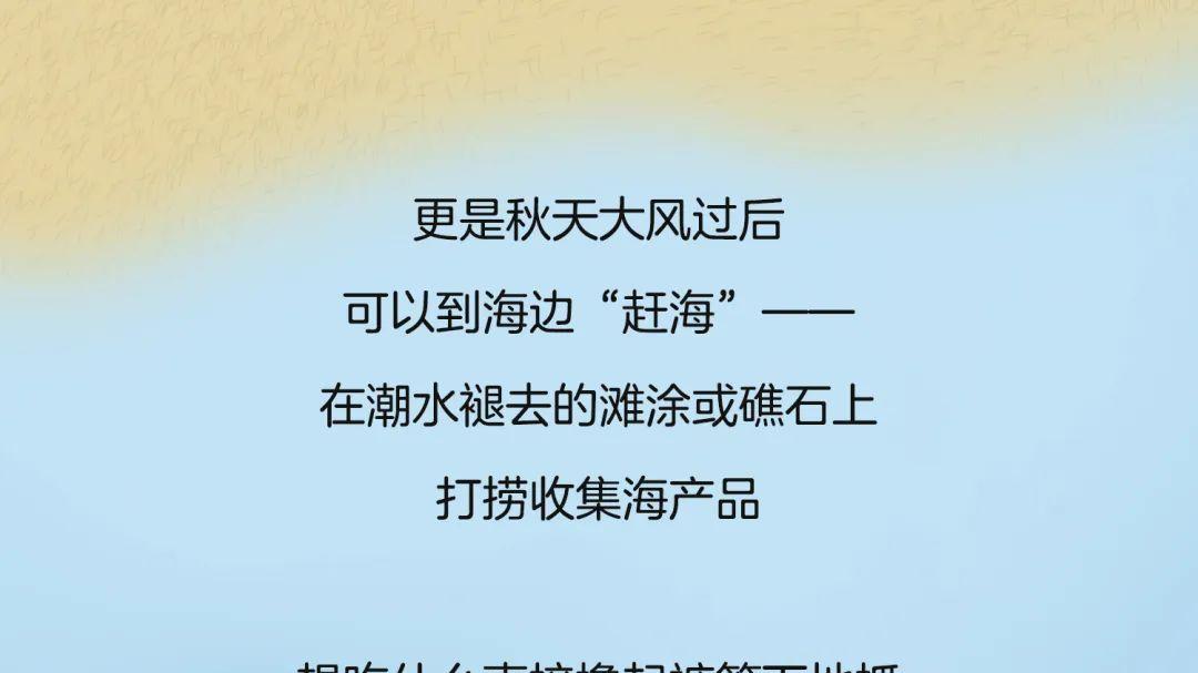 赶海|赶海短视频，骗了多少内陆人