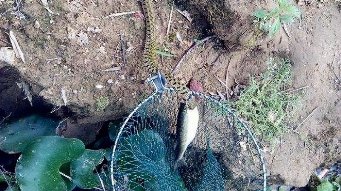 饵料|渔乐杂谈：夏季野外钓鱼安全篇02——六大规避危险的意识不可少！