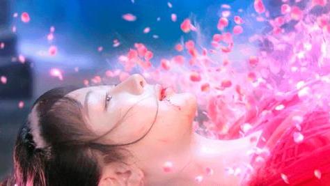 明星|沉香如屑：应渊颜淡当真死了？四叶菡萏的使命，在最后一刻完成了