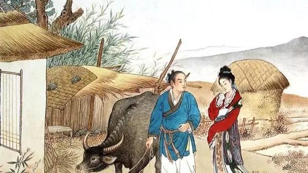 父亲被牛救回家，为了报恩，姑娘嫁给了牛