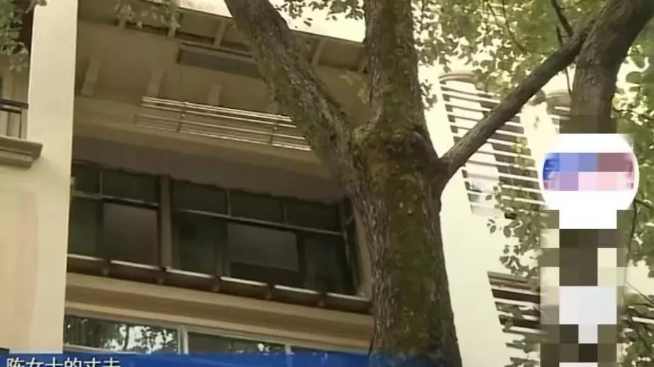 重庆一女子因违章搭建，被楼下业主举报后拆除，事后女子多次报复