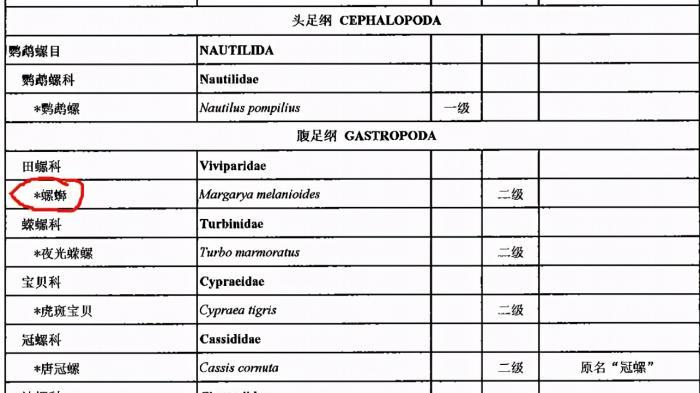 国家二级保护动物|螺蛳已被列为国家二级保护动物，我们还可以用螺蛳钓鱼么