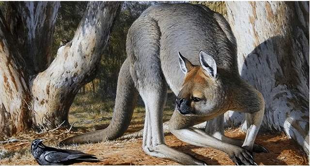 盘点澳大利亚十大史前巨兽，有些你可能从未听过