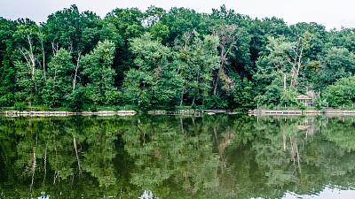 你是怎样看待生物学分类的？