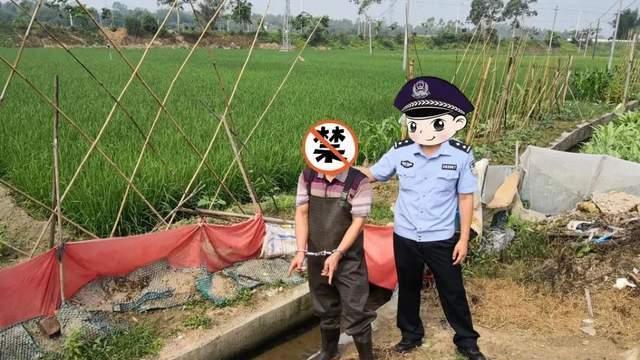 枝江|经常电鱼和网鱼的地方如何钓鱼？可以钓收获也能不错