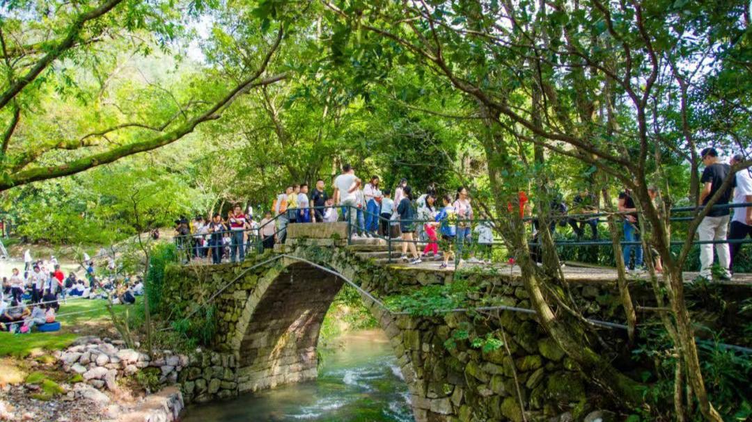 甘南|宁波赏秋攻略，三个绝美的赏秋旅行地，好好感受秋日的美好！