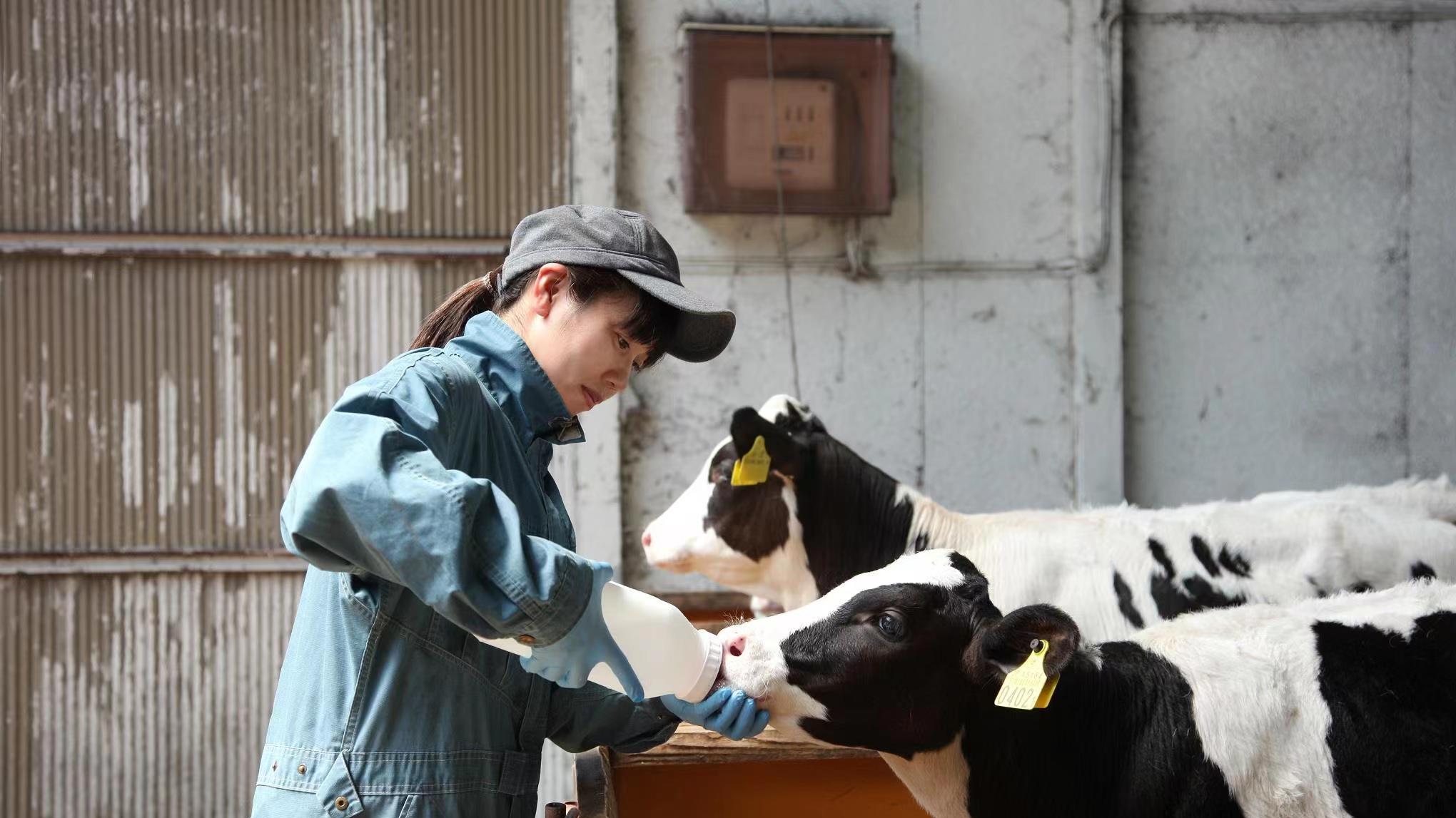 日本|日本有哪些看似“社会底层”、实则收入很高的职业？