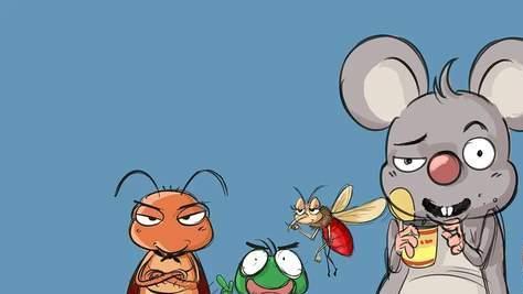 老鼠生存繁殖能力强，为何越来越少见了？