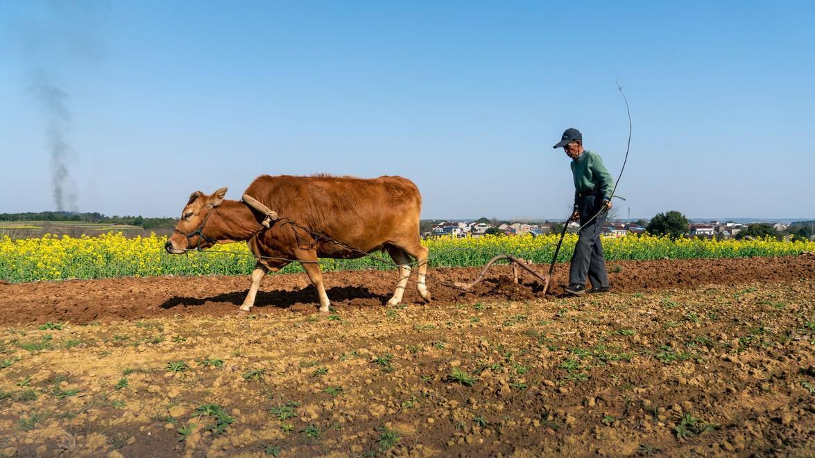 活着|《活着》：人是为了活着本身而活着，而不是为了活着之外的事物
