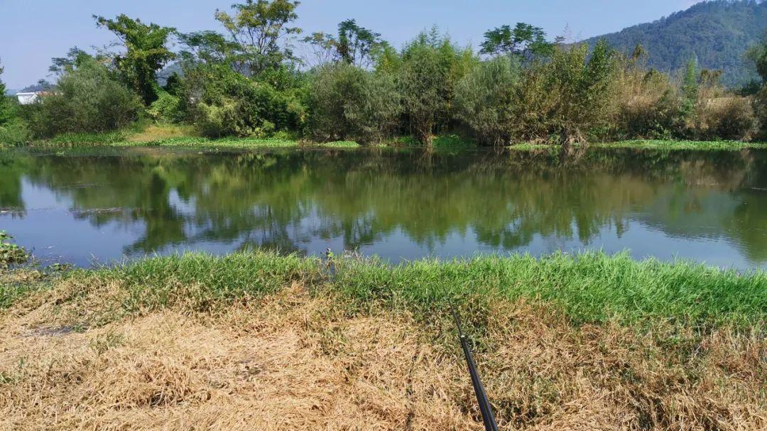 |冬天钓鱼是“人找鱼”，这不是传统钓的“专利”，台钓一样可行！