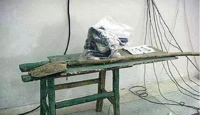 河南“智能木马”杀人案：为快感杀17名少年，因一句话放过第18人