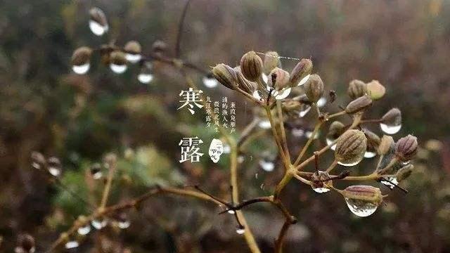 寒露已至，穿秋裤的季节到了