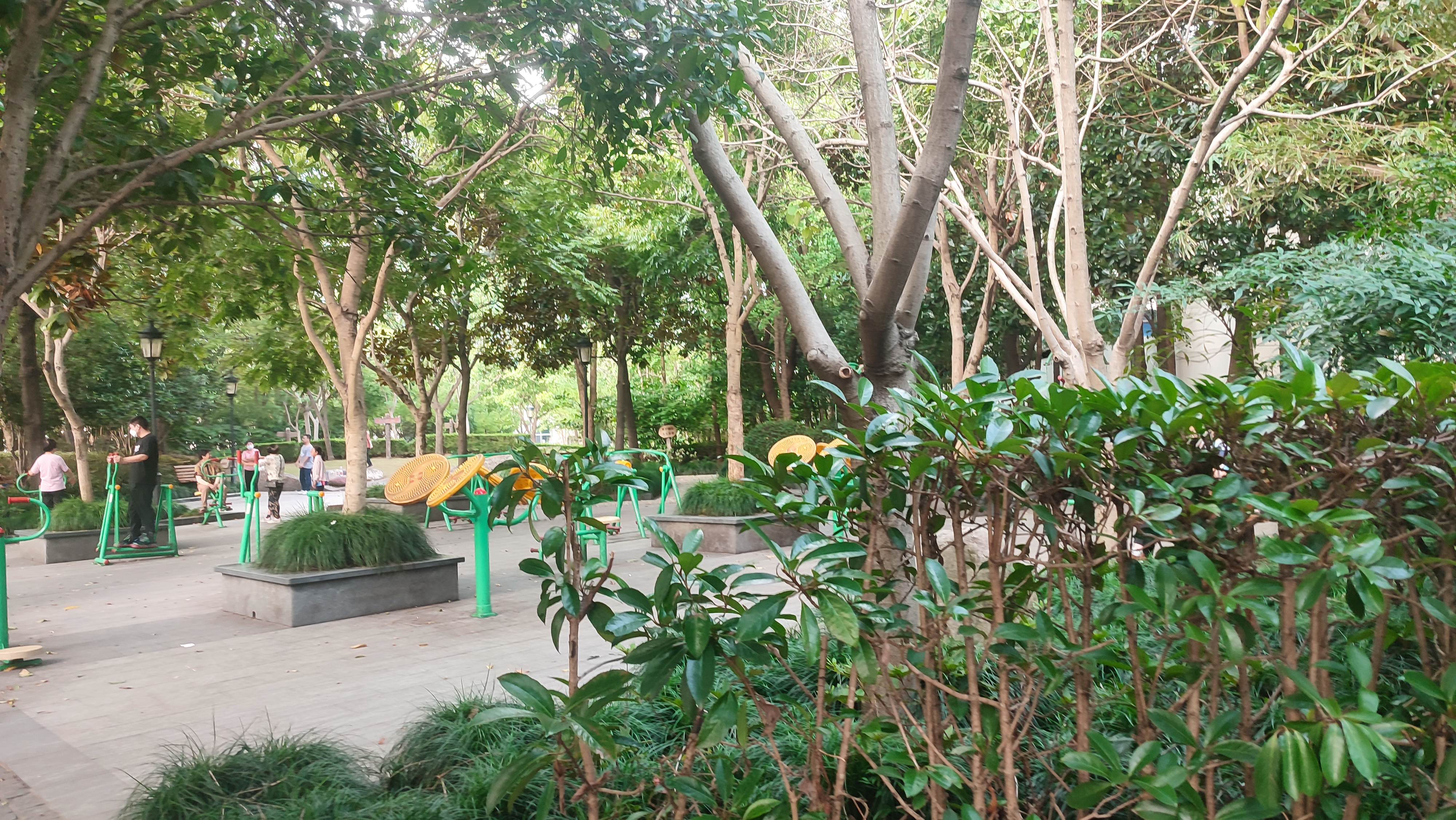 中国国际进口博览会|他说，他收购“推特”不是为了赚钱，而是为了他所爱的人们