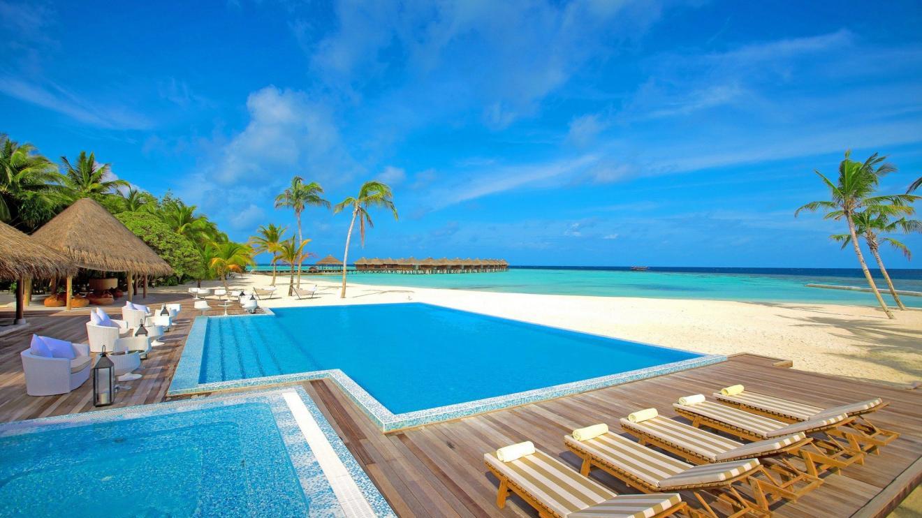 |别人不努力，是因为那人不够努力，一个人越努力，别人越尊重自己