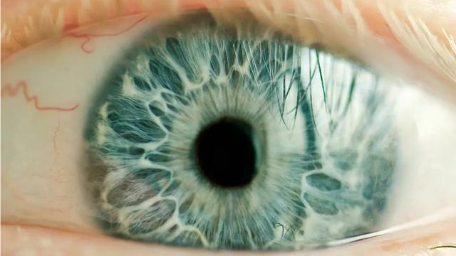 高达5.76亿像素，占用大脑65%的“内存”！人类眼睛有多强大？