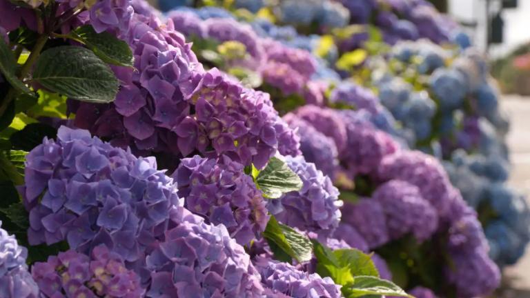 许多|25岁后，4个星座，心思缜密，职场上运筹帷幄，获得高升机会