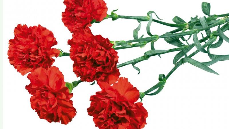 星座性格|看破不说破，擅长控制情绪，很难让人驾驭的星座