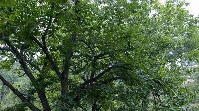 露营|迎国庆  庆丰收  ——“我是农场主”主题露营活动