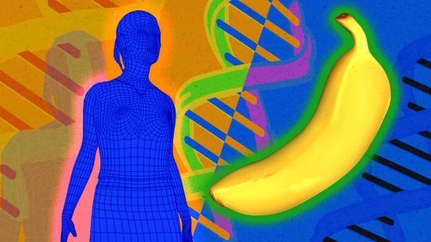 人类和香蕉有50%相同的DNA？某种意义上来说，我们都是亲戚！